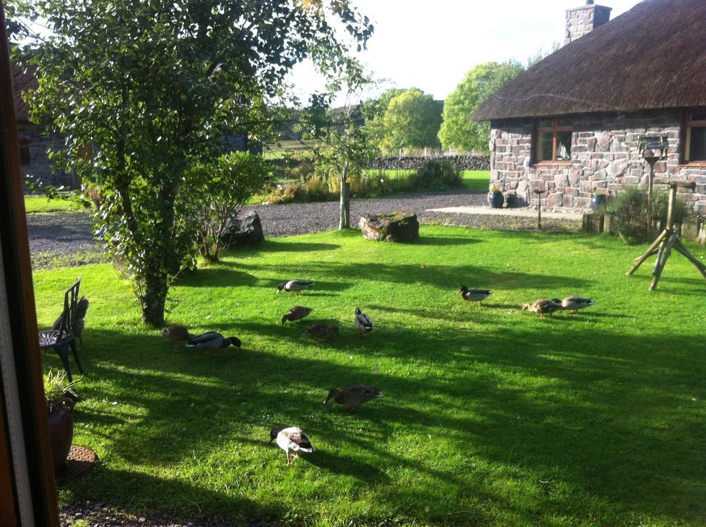 Clan Cottages Oban Pokoj fotografie