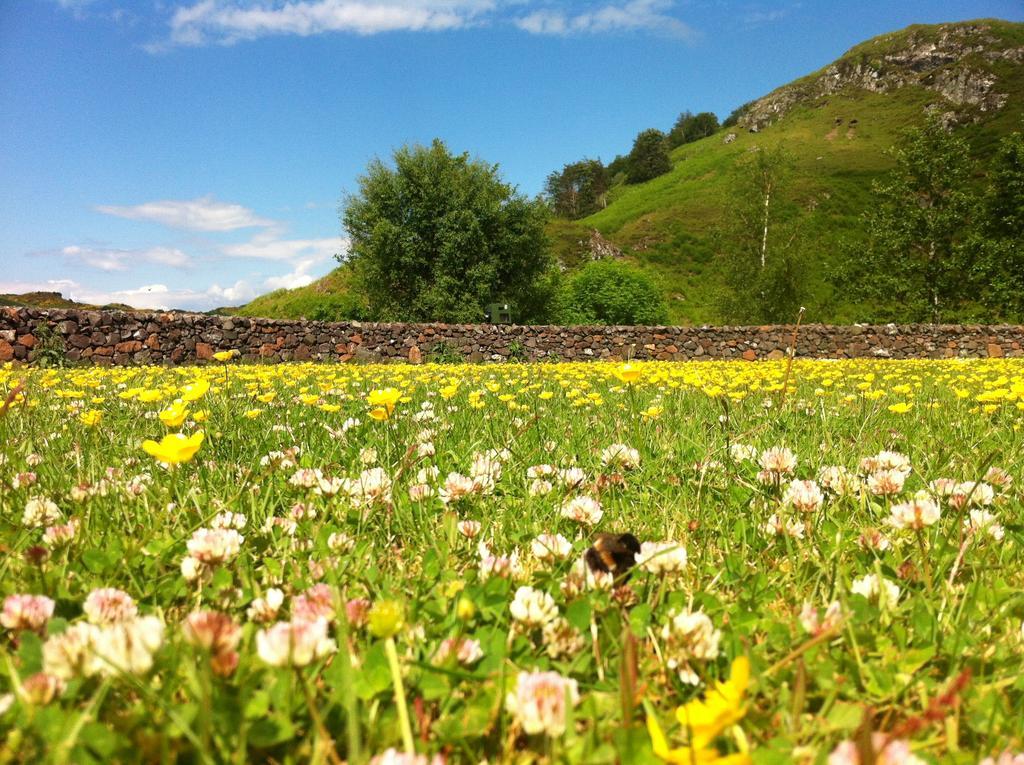Clan Cottages Oban Pokoj fotografie